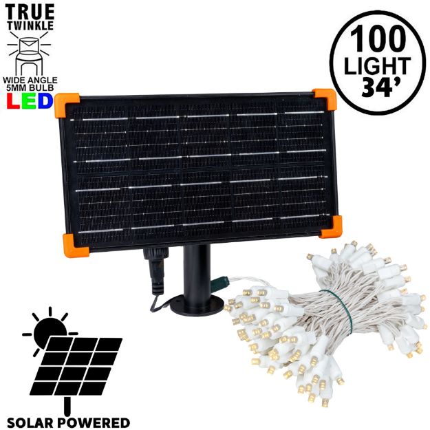*NEW* TrueTwinkle® Warm White LED Solar Mini Lights 100 Light String 4" Spacing White Wire