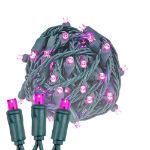Commercial Grade Wide Angle 50 LED Pink 25' Long on Green Wire