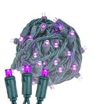 Commercial Grade Wide Angle 50 LED Purple 25' Long on Green Wire