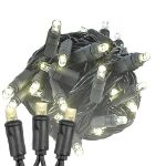 Commercial Grade Wide Angle 50 LED Warm White 25' Long on Black Wire