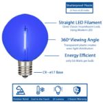 Multi LED G50 Plastic Filament LED Globe Bulbs - 25pk
