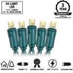 50 LED Warm White LED Christmas Lights 11' Long on Green Wire