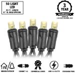 Commercial Grade Wide Angle 50 LED Warm White 25' Long on Black Wire