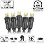 50 LED Warm White LED Christmas Lights 11' Long on Black Wire