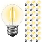 Dual Filament Warm White LED Medium Base G50 Plastic Globe Bulbs - 25pk