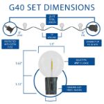 25 LED Filament G40 Globe String Light Set with Warm White Bulbs on White Wire