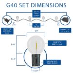 50 LED Filament G40 Globe String Light Set with Warm White Bulbs on Black Wire
