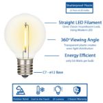 50 LED Filament G40 Globe String Light Set with Warm White Bulbs on Green Wire