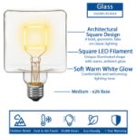 LED Square Warm White Medium Base Glass Filament Bulb - 1pk