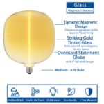 Flex Filament LED Gold Glass Warm White Medium Base Bulb - 1pk