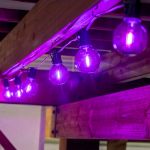 Purple - G40 - Plastic Filament LED Replacement Bulbs - 25 Pack