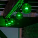 5 Pack Green LED G50 Globe Bulbs