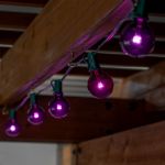 Purple - G40 - Glass LED Replacement Bulbs - 25 Pack
