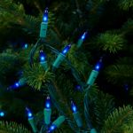 Blue 50 Light 11' Long Green Wire Christmas Mini Lights