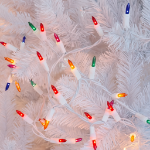 Multi 50 Light 11' Long White Wire Christmas Mini Lights