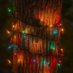 Multi Colored Christmas Mini Lights 50 Light on Brown Wire 11 Feet Long