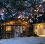 50 LED S14 Warm White Commercial Grade Suspended Light String Set on 100' of Brown Wire 
