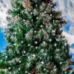 Commercial Grade Wide Angle 100 LED Pure White 34' Long on Green Wire 