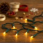 20 Light Warm White LED Mini Lights Green Wire