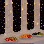 10 Light Warm White LED Mini Lights White Wire