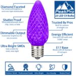 PeakPro Purple C9 LED Replacement Bulbs 25 Pack 