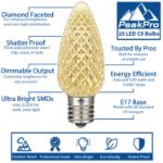 PeakPro Red/Warm White C9 LED Replacement Bulbs 25 Pack