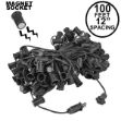 C9 Magnetic 100' Stringers 12" Spacing Black Wire