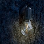 Rechargeable Camp Light - Globe
