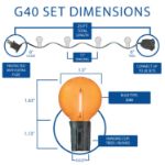 25 LED Filament G40 Globe String Light Set with Transparent Orange Bulbs on Black Wire