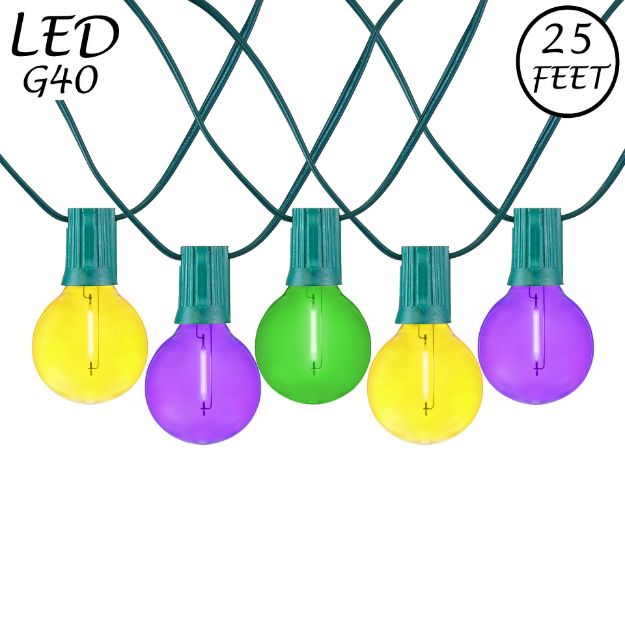 25 LED Filament G40 Globe String Light Set with Transparent Yellow, Purple & Green Bulbs on Green Wire