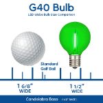 25 LED Filament G40 Globe String Light Set with Transparent Yellow, Purple & Green Bulbs on White Wire