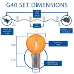 25 LED Filament G40 Globe String Light Set with Transparent Red, Orange & Yellow Bulbs on Brown Wire