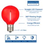 25 LED Filament G40 Globe String Light Set with Transparent Red, White & Blue Bulbs on Black Wire
