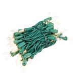 RetroGlo® Clear Mini Lights 50 Light on Green Wire 11 Feet Long