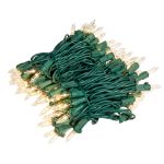 RetroGlo® Clear Mini Lights 100 Light on Green Wire 22 Feet Long