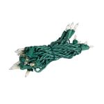 RetroGlo® Clear Mini Lights 20 Light on Green Wire 8.5 Feet Long
