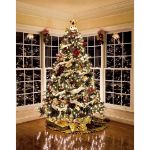 RetroGlo® Clear Multi Function Chasing Christmas Lights White Wire