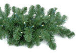 9' Lighted True Twinkle Deluxe Colorado Pine Garland