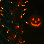 RetroGlo® Orange Ceramic Mini Lights 50 Light on Green Wire 25 Feet Long