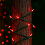 RetroGlo® Red Ceramic Mini Lights 50 Light on Green Wire 25 Feet Long