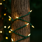 RetroGlo® White Ceramic Mini Lights 50 Light on Green Wire 25 Feet Long