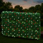 Red & Pure White LED Net Lights 4x6 Green Wire