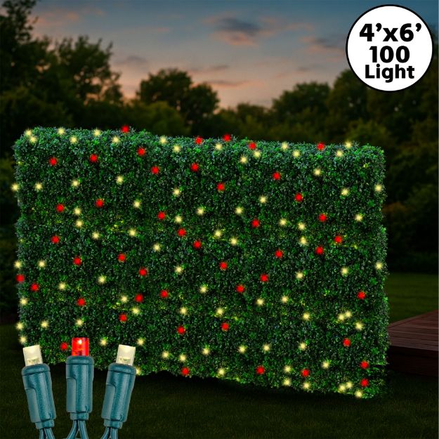 Red & Warm White LED Net Lights 4x6 Green Wire