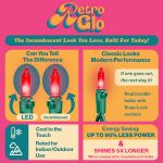 RetroGlo® Red Multi Function Chasing Christmas Lights