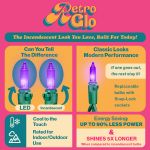 RetroGlo® Multi Color Multi Function Chasing Christmas Lights