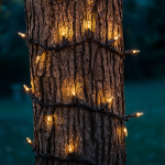 RetroGlo® Clear Mini Lights 100 Light on Brown Wire 50 Feet Long