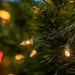 RetroGlo® Clear Mini Lights 100 Light on Black Wire 50 Feet Long