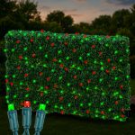Red & Green LED Net Lights 4x6 Green Wire