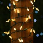 Coaxial Warm White 70 LED C6 Strawberry Mini Lights Commercial Grade on Green Wire