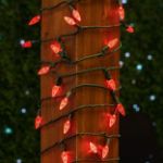 Coaxial Red 70 LED C6 Strawberry Mini Lights Commercial Grade on Green Wire